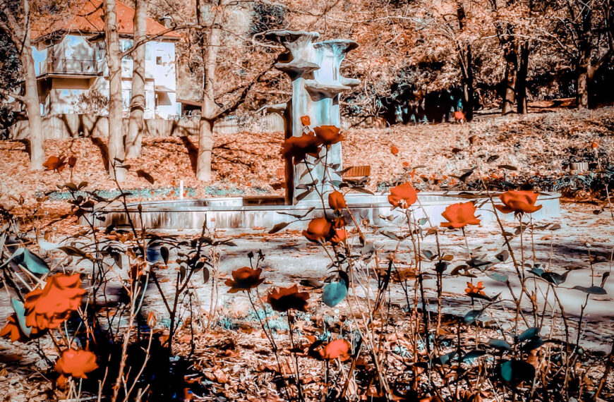 Ko številke postanejo resničnost