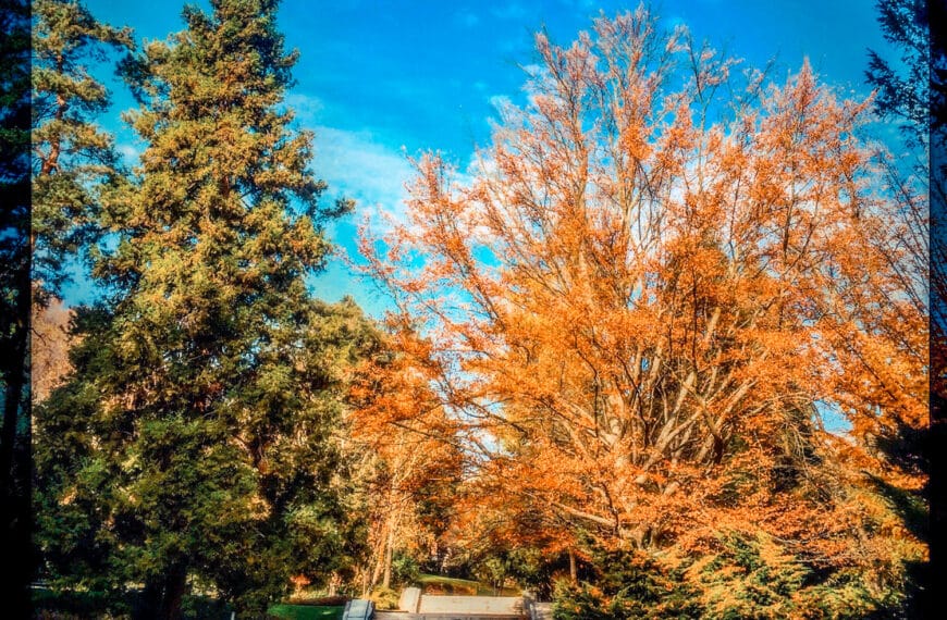 Bolje gluhota kot da poslušam te bedake