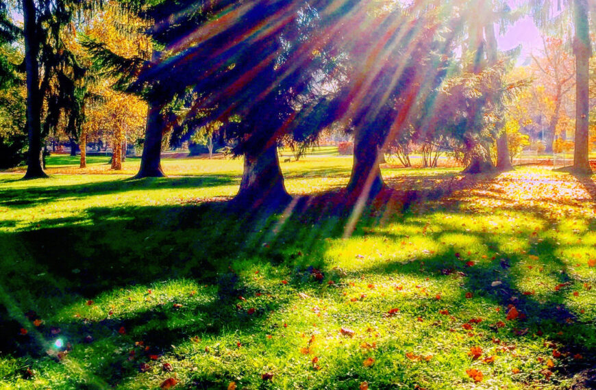 Kako postati glasbenik v štirih letih