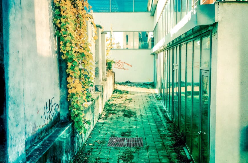 Ko grem ven-ven v Mariboru ali kako postati penzionist v enem samem življenju?