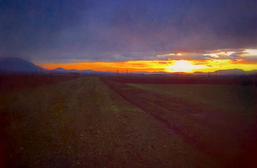 Moja škatlica čikov