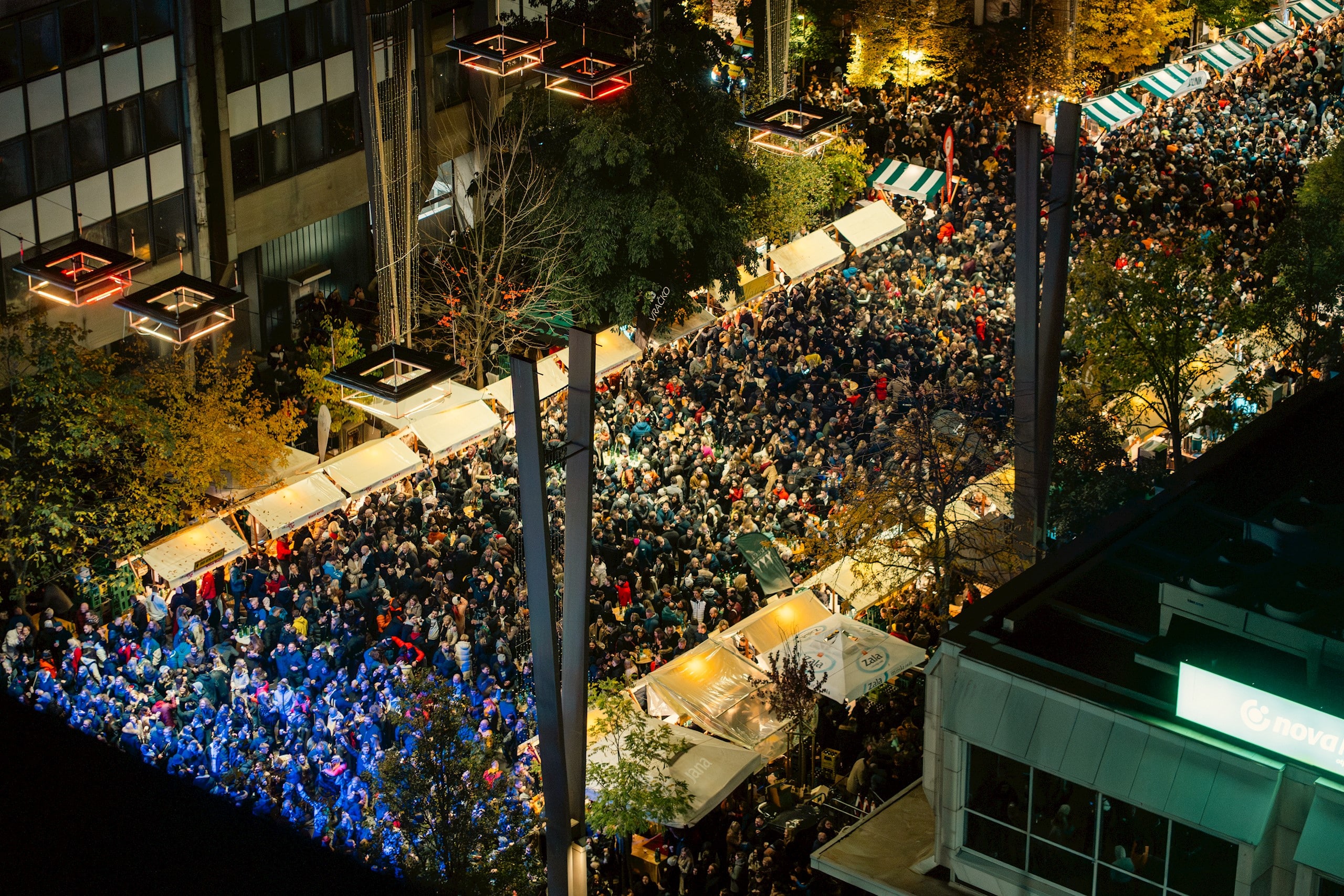 11112023_martinovanje-20